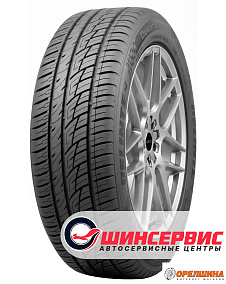 225/55 R19  99H  Delinte DS8 
