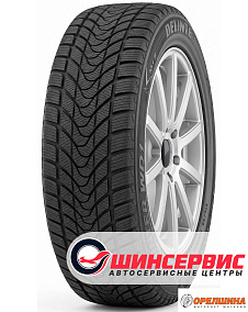 205/65 R16  95T  Delinte  Winter WD1 (shin)
